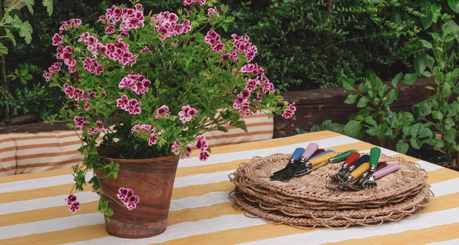 Get your garden summer ready