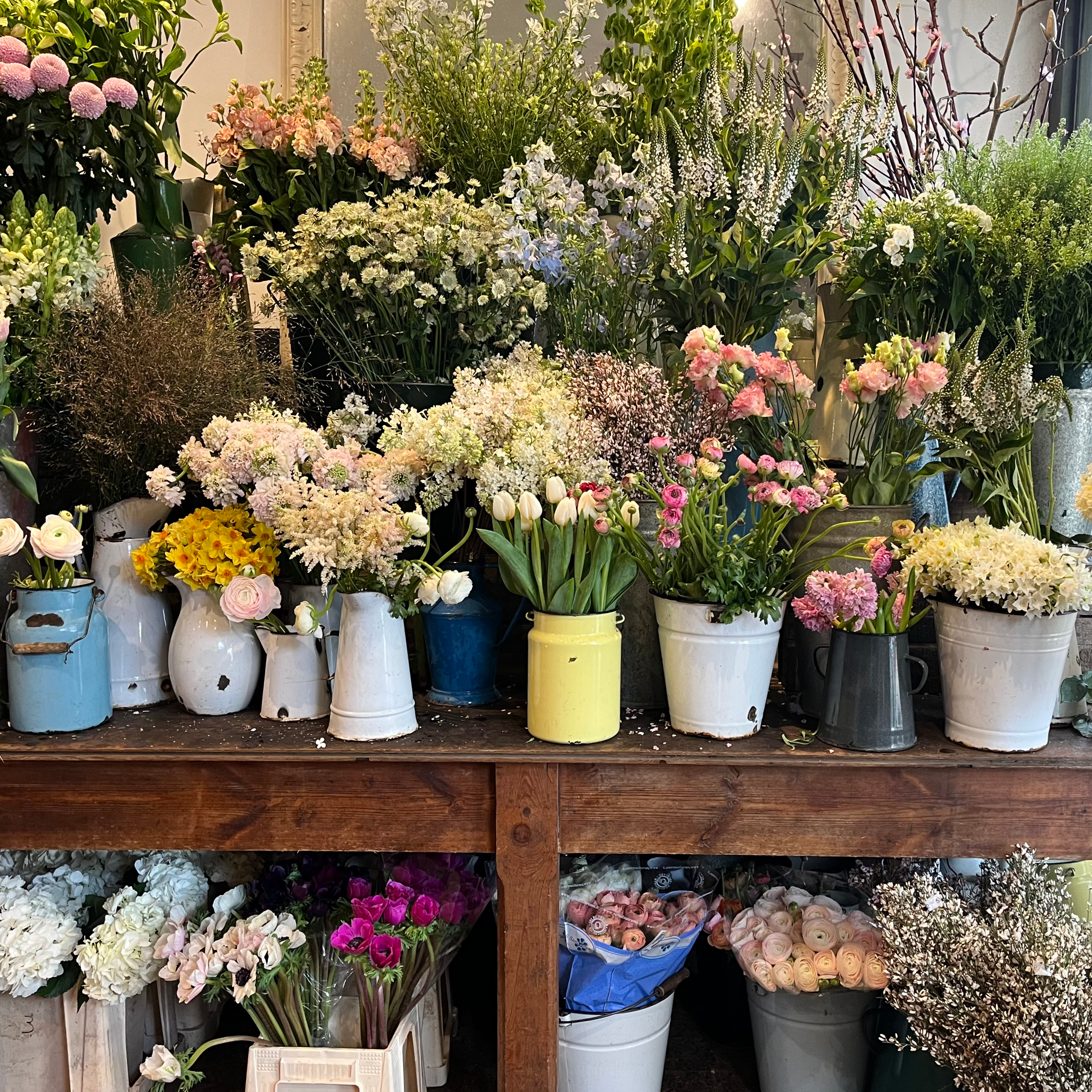 Neighbourhood Guides: Kensal Rise
