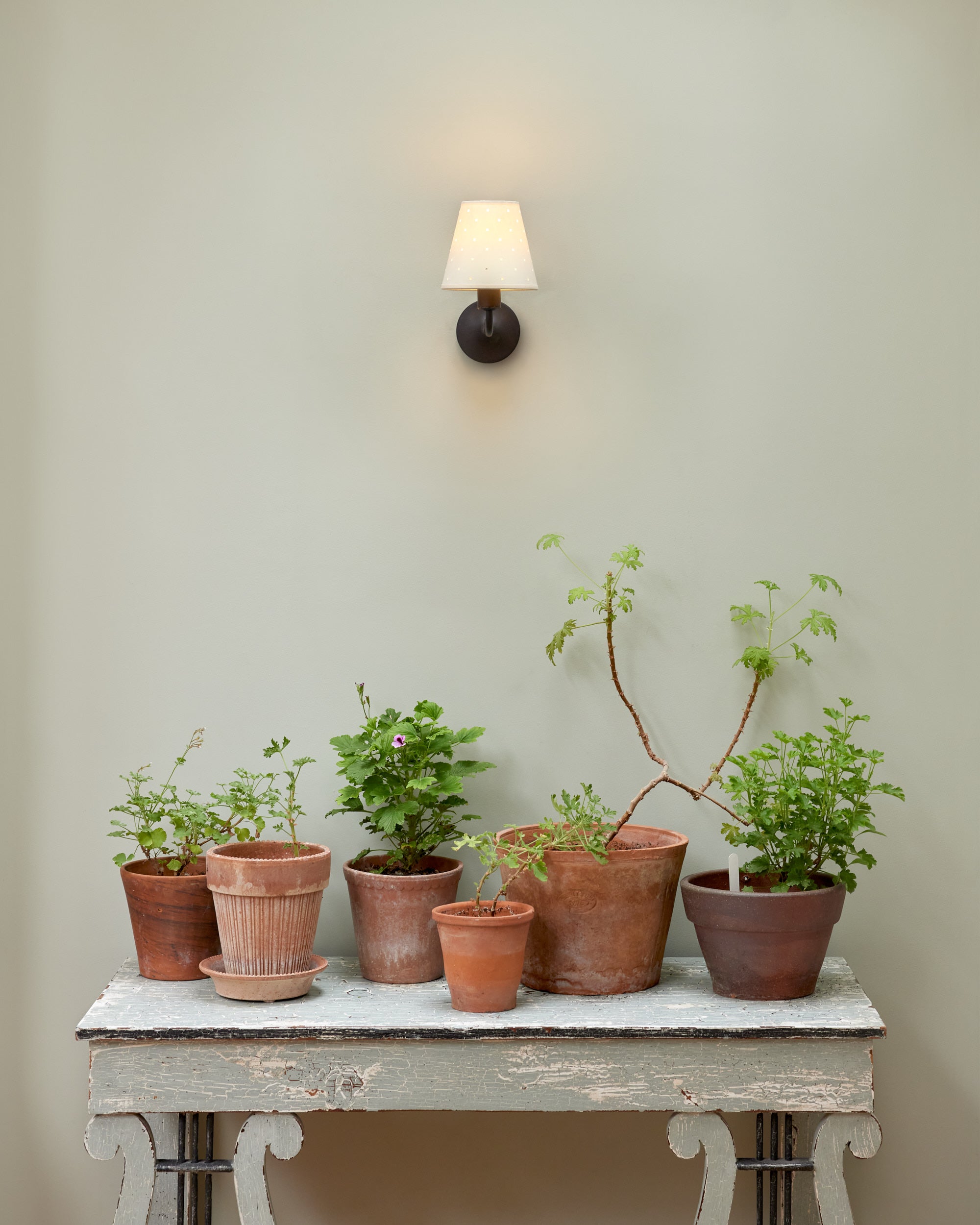 Wall Light, Matt Black